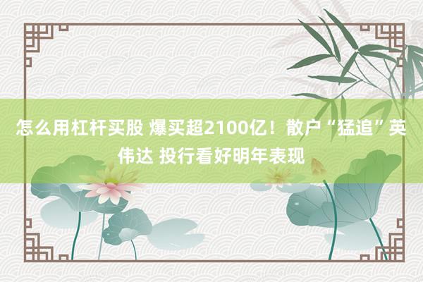 怎么用杠杆买股 爆买超2100亿！散户“猛追”英伟达 投行看好明年表现