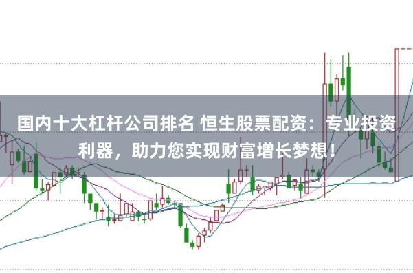 国内十大杠杆公司排名 恒生股票配资：专业投资利器，助力您实现财富增长梦想！