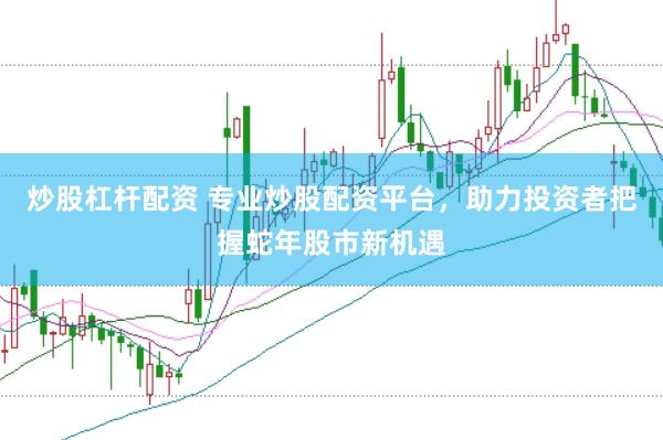 炒股杠杆配资 专业炒股配资平台，助力投资者把握蛇年股市新机遇