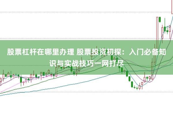 股票杠杆在哪里办理 股票投资初探：入门必备知识与实战技巧一网打尽