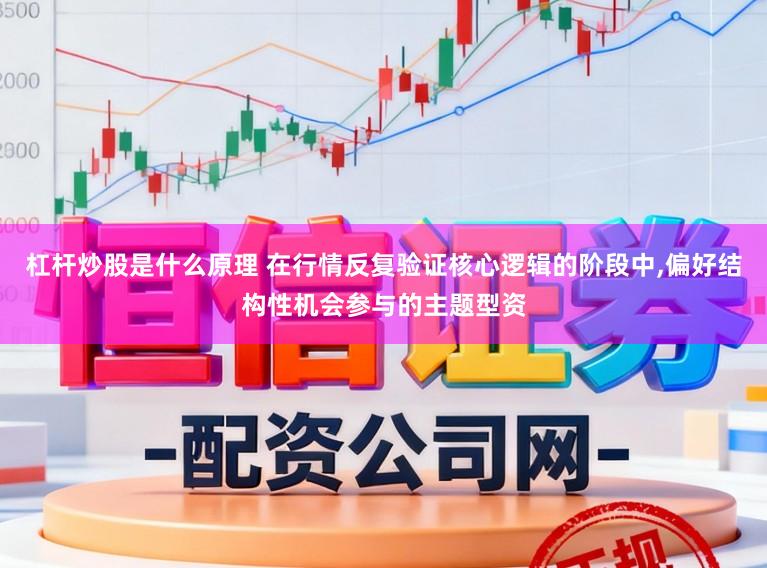 杠杆炒股是什么原理 在行情反复验证核心逻辑的阶段中,偏好结构性机会参与的主题型资