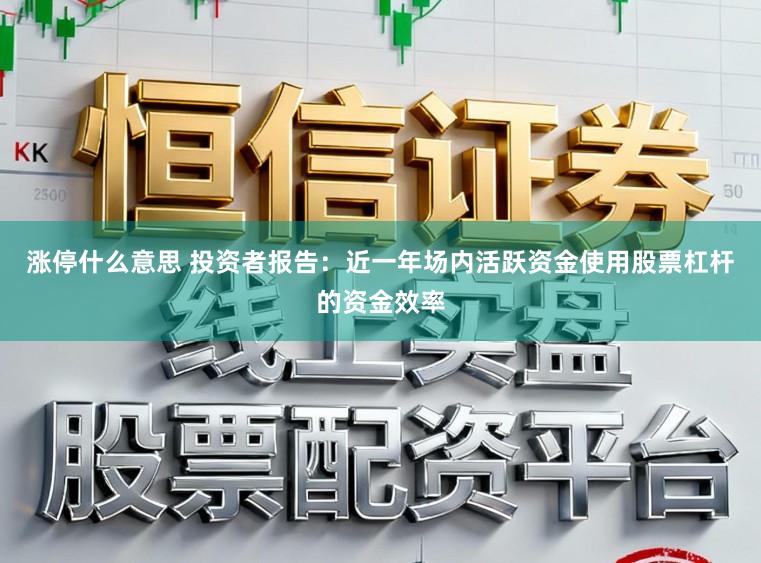涨停什么意思 投资者报告：近一年场内活跃资金使用股票杠杆的资金效率